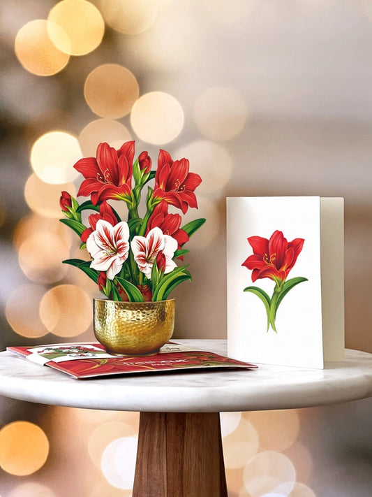 Mini Scarlet Amaryllis | Pop-Up Greeting Card