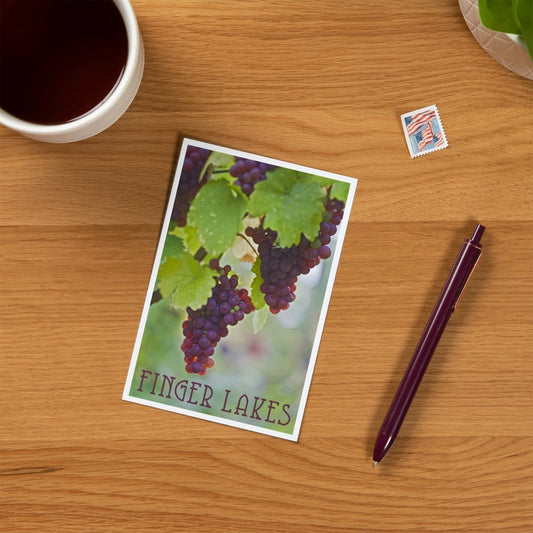 Purple Wine Grapes, Finger Lakes, NY - Premium Postcards