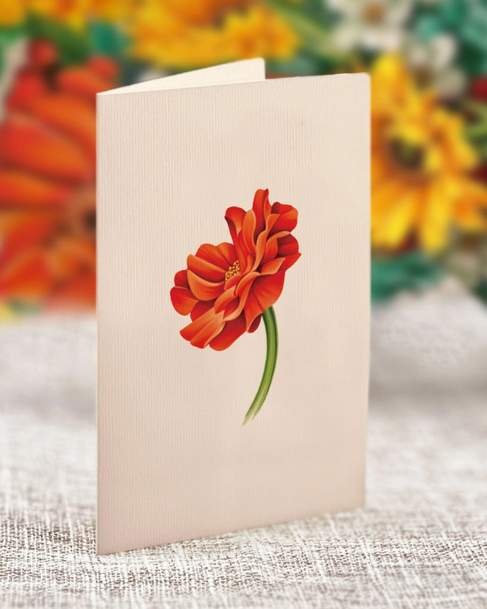 Mini Pumpkin Harvest | Pop-Up Greeting Card (NEW ARRIVAL)