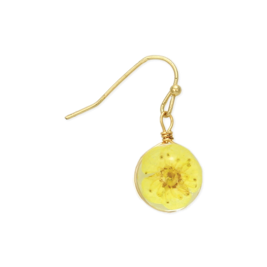 Yellow Buttercup | Dried Flower Earrings