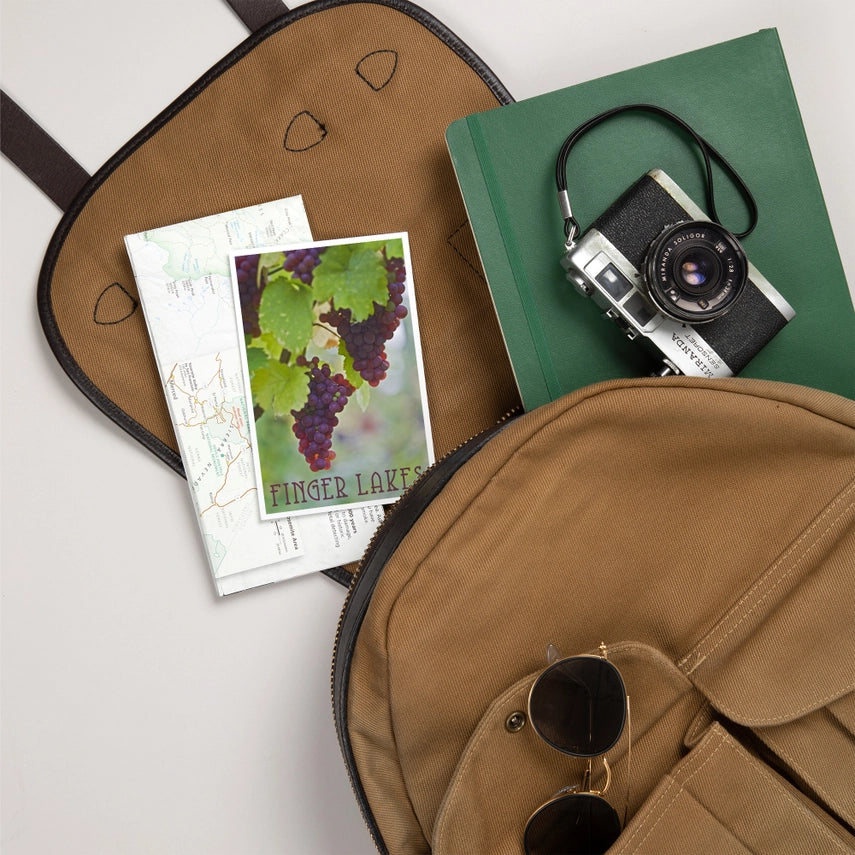 Purple Wine Grapes, Finger Lakes, NY - Premium Postcards