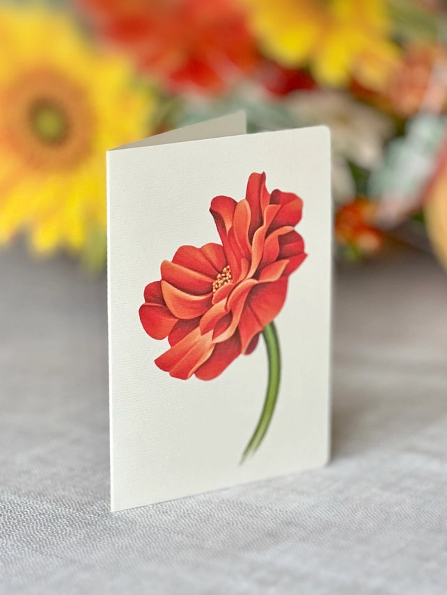 Pumpkin Harvest | Pop-Up Greeting Card (NEW ARRIVAL)