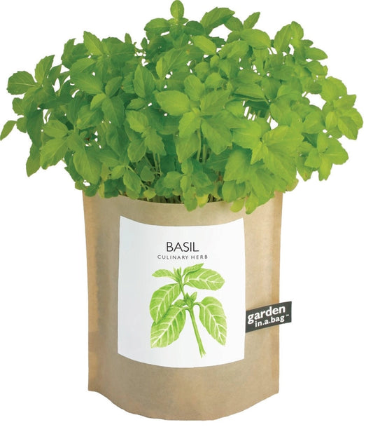 Basil | Garden In A Bag