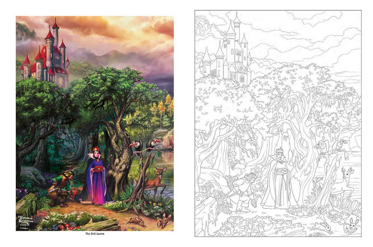 Disney Celebrations Coloring Book | Dreams Collection
