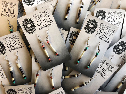 Porcupine Quill Earrings