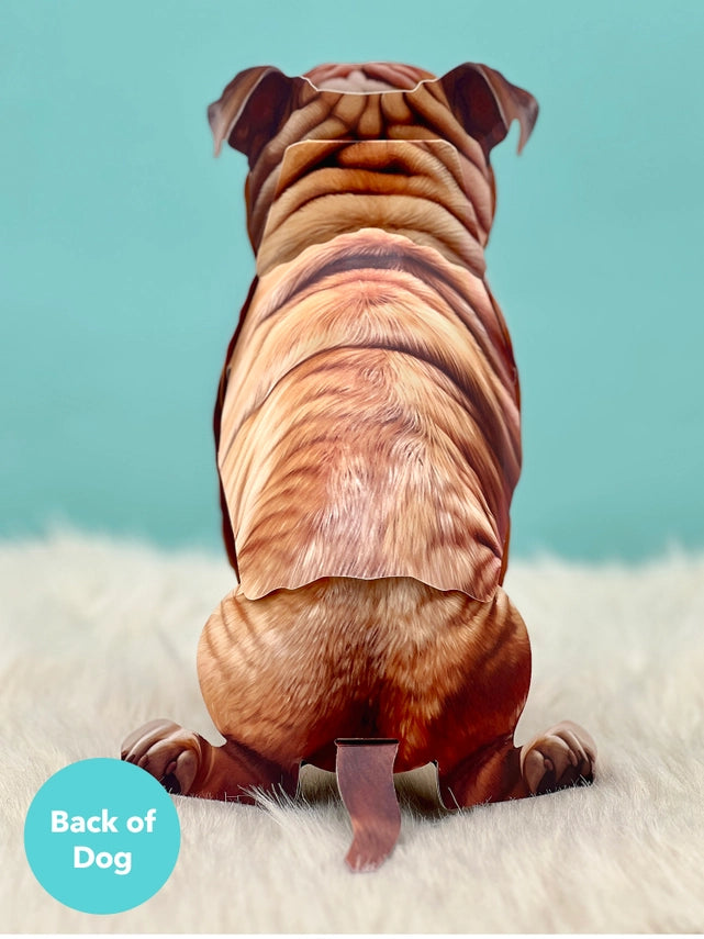 English Bulldog | Pop-Up Greeting Card (NEW ARRIVAL)