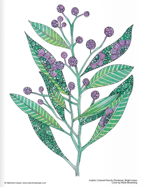Design Originals: Creative Coloring Botanicals