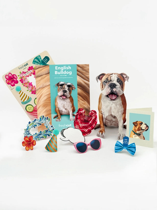 English Bulldog | Pop-Up Greeting Card (NEW ARRIVAL)