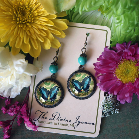 Blue Swallowtail Butterfly | Glass Cabochon Earrings
