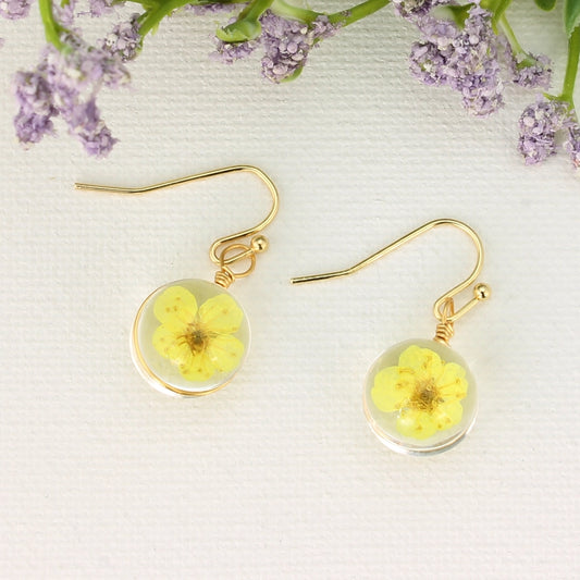 Yellow Buttercup | Dried Flower Earrings