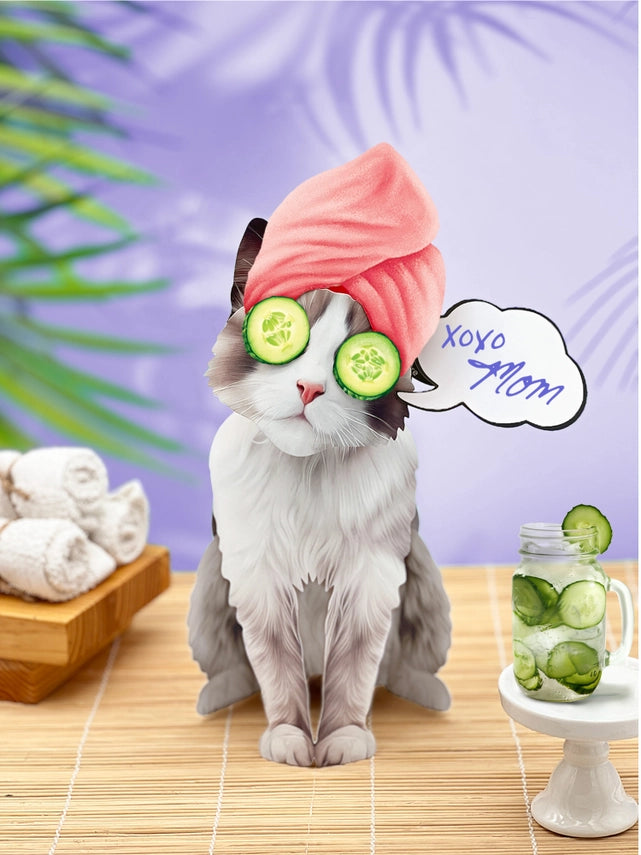 Ragdoll Cat | Pop-Up Greeting Card (NEW ARRIVAL)