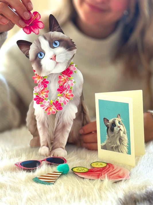 Ragdoll Cat | Pop-Up Greeting Card (NEW ARRIVAL)