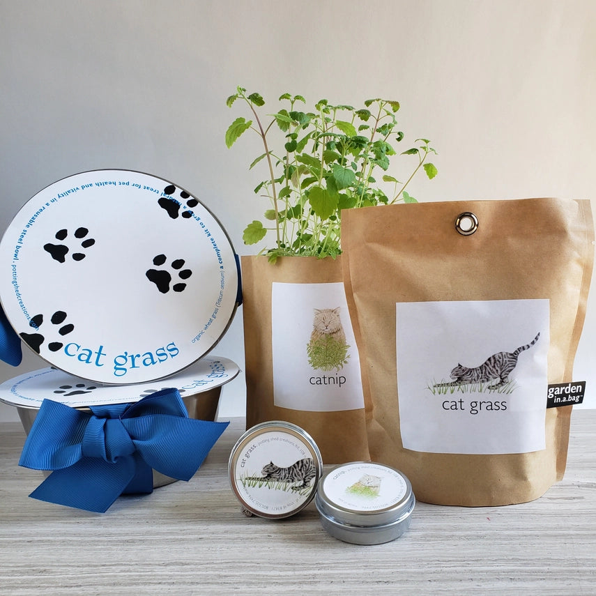 Catnip | Garden In A Bag