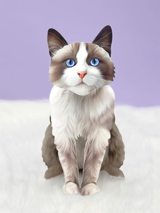 Ragdoll Cat | Pop-Up Greeting Card (NEW ARRIVAL)