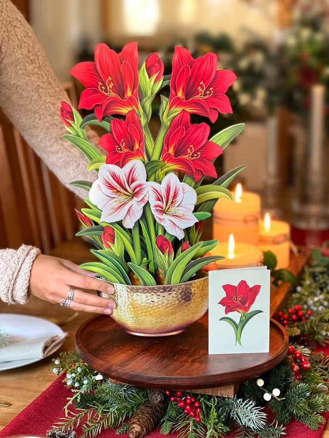 Scarlet Amaryllis | Pop-Up Greeting Card