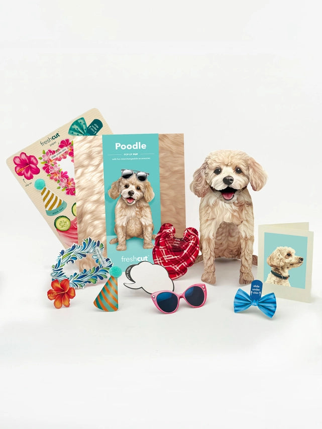 Poodle | Pop-Up Greeting Card (NEW ARRIVAL)