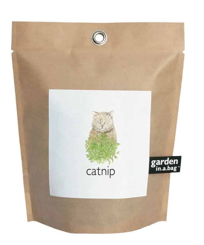 Catnip | Garden In A Bag