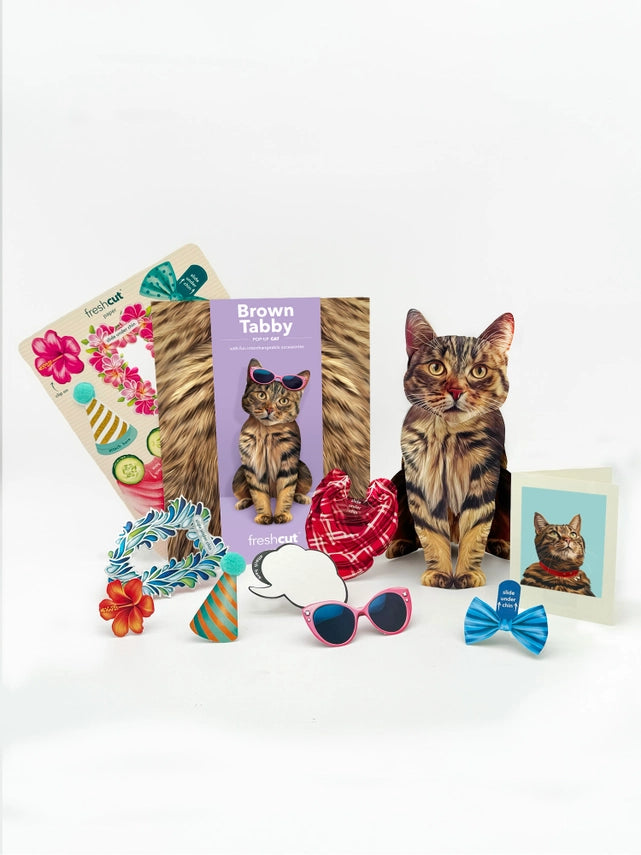 Brown Tabby | Pop-Up Greeting Card