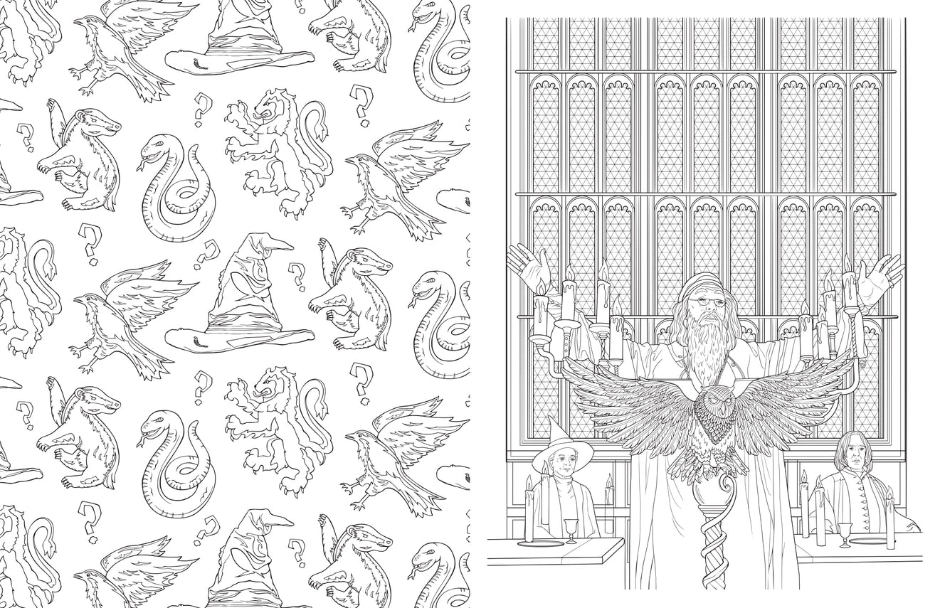 Official Hogwarts Coloring Book | Harry Potter