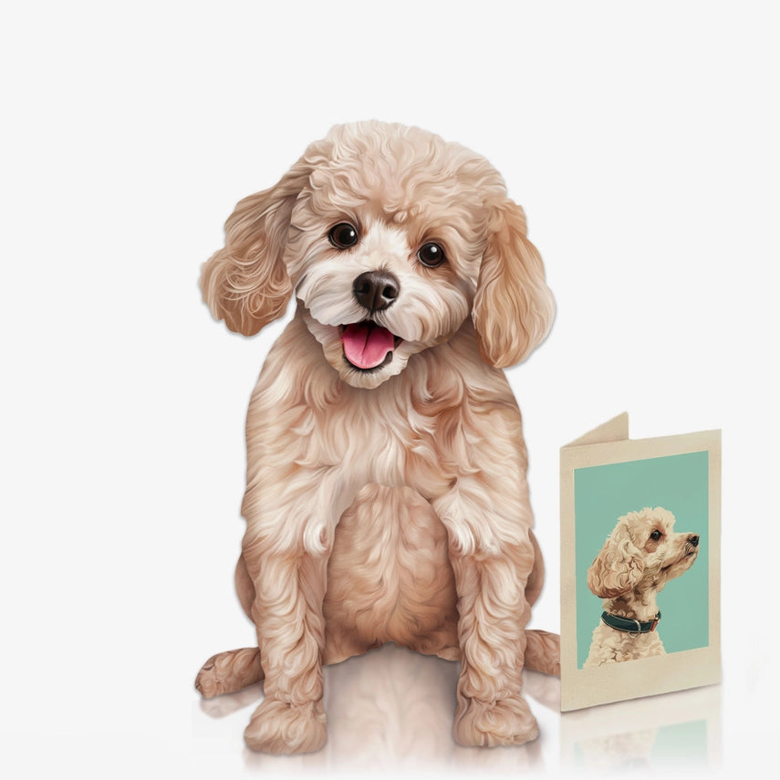 Poodle | Pop-Up Greeting Card (NEW ARRIVAL)