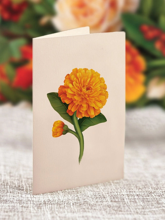 Pumpkin Spice | Pop-Up Greeting Card (NEW ARRIVAL)