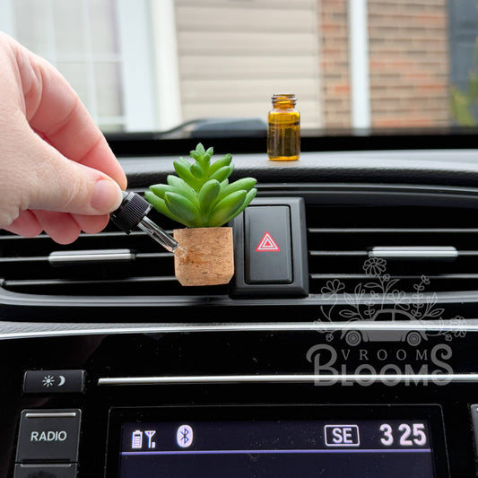 Succulent Plant Car Vent Clip Diffuser | Vroom Blooms