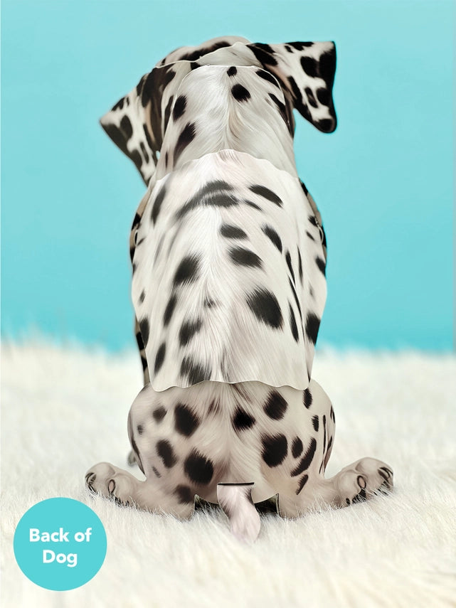Dalmatian | Pop-Up Greeting Card (NEW ARRIVAL)