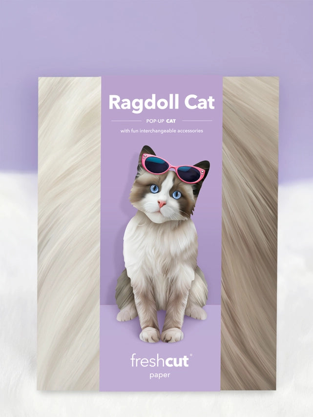 Ragdoll Cat | Pop-Up Greeting Card (NEW ARRIVAL)