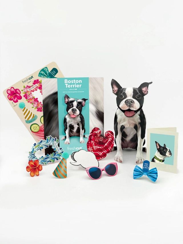 Boston Terrier | Pop-Up Greeting Card (NEW ARRIVAL)