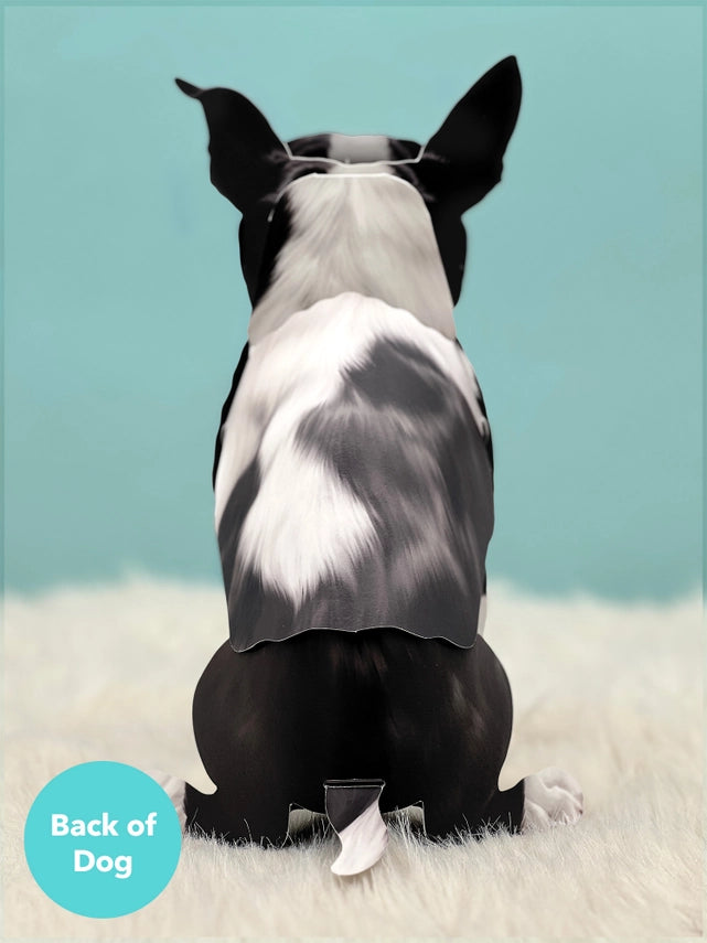 Boston Terrier | Pop-Up Greeting Card (NEW ARRIVAL)