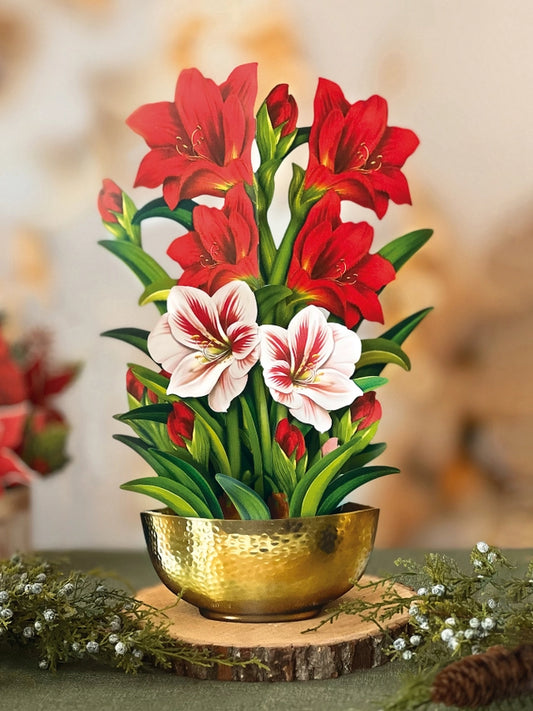 Scarlet Amaryllis | Pop-Up Greeting Card