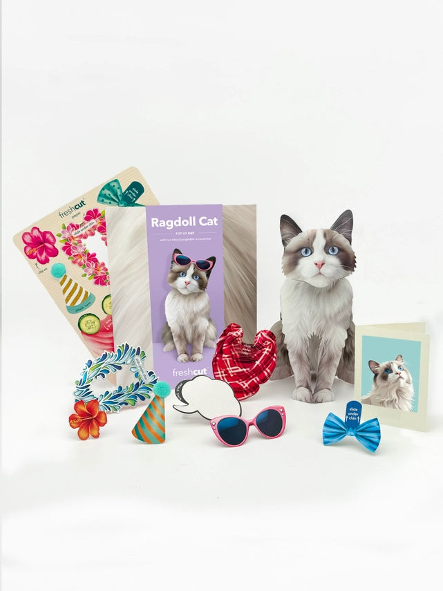 Ragdoll Cat | Pop-Up Greeting Card (NEW ARRIVAL)