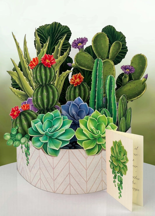 Cactus Garden | Pop-Up Greeting Card