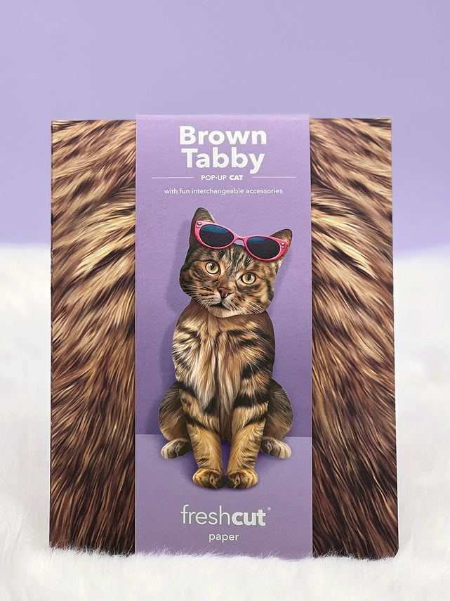 Brown Tabby | Pop-Up Greeting Card