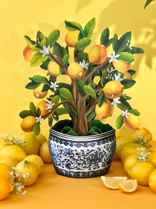 Lemon Blossom Tree | Pop-Up Greeting Card