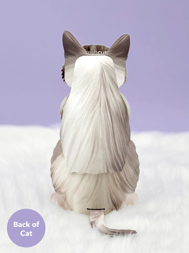 Ragdoll Cat | Pop-Up Greeting Card (NEW ARRIVAL)