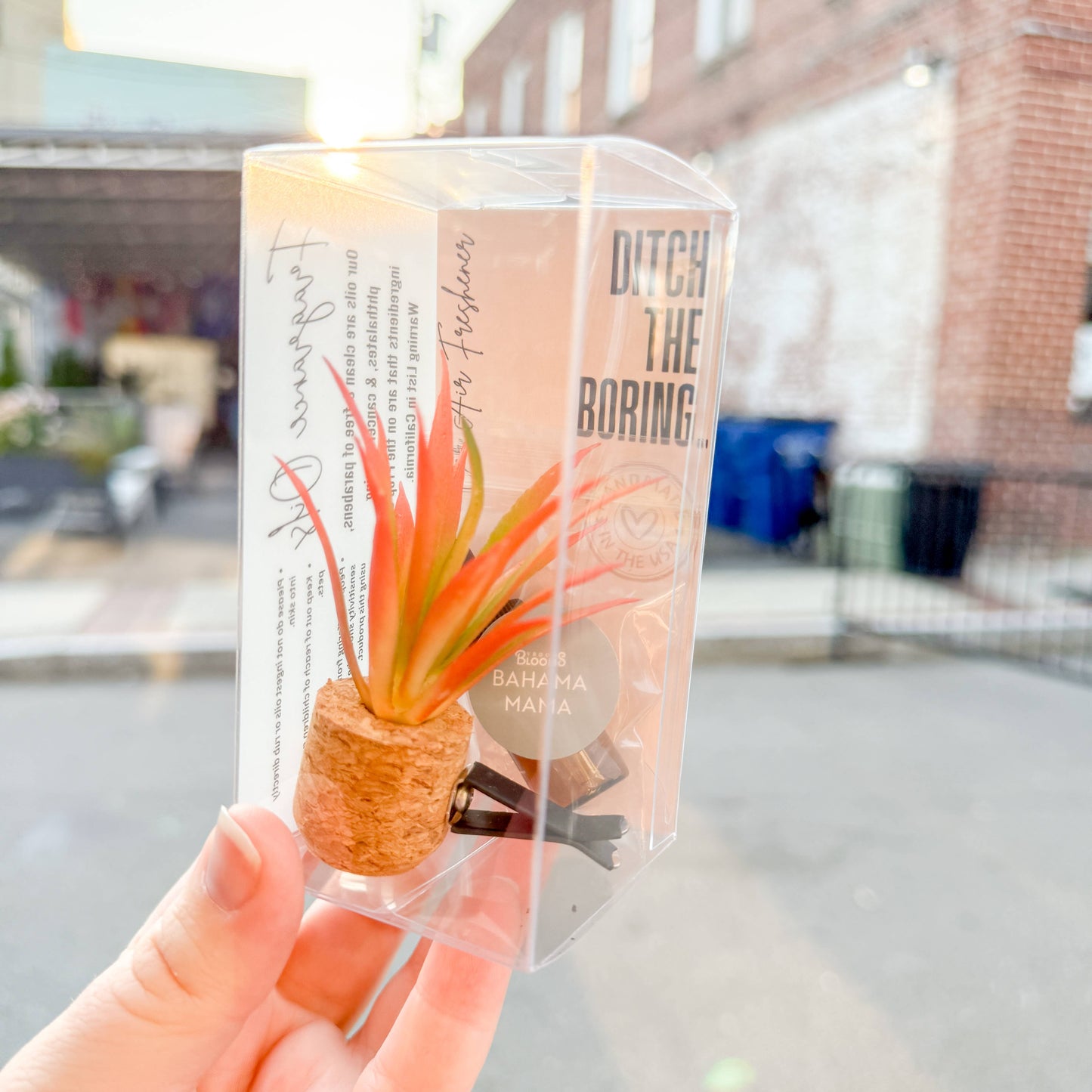 Orange Spikey Plant Car Vent Clip Diffuser | Vroom Blooms