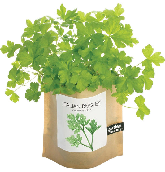 Italian Parsley | Garden In A Bag
