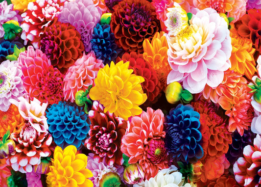 Beautiful Blooms 500PC Puzzle
