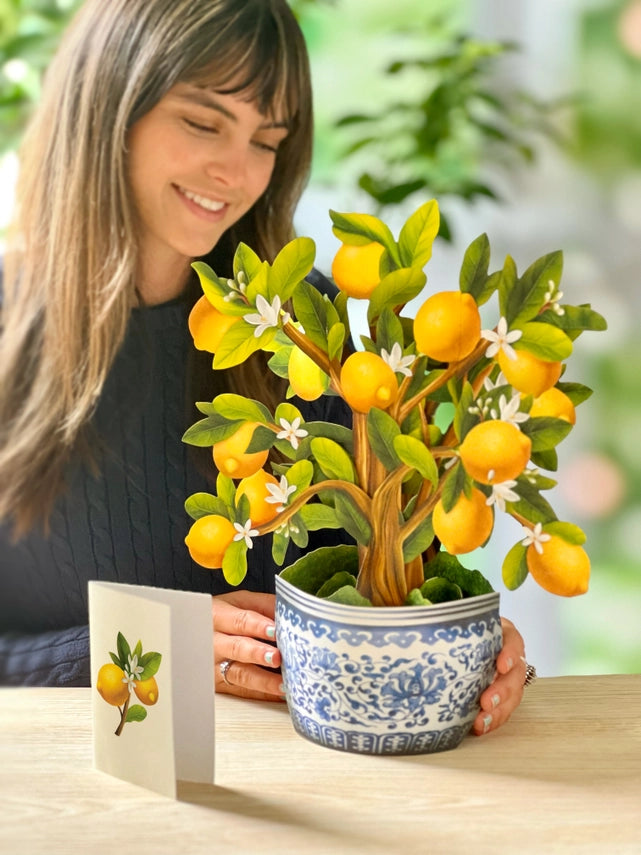 Lemon Blossom Tree | Pop-Up Greeting Card