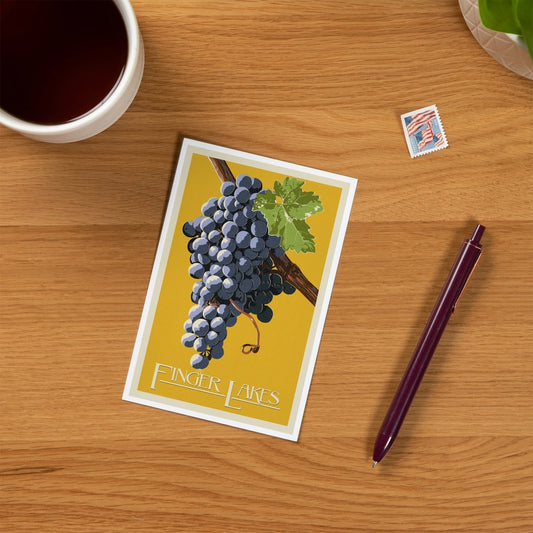 Wine Grapes, Finger Lakes, NY - Premium Postcards