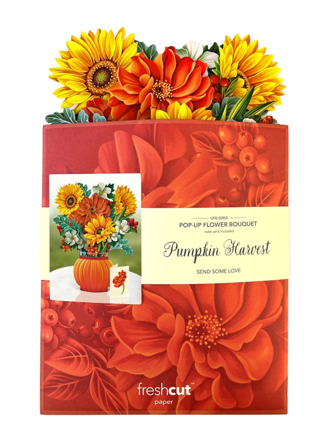 Pumpkin Harvest | Pop-Up Greeting Card (NEW ARRIVAL)