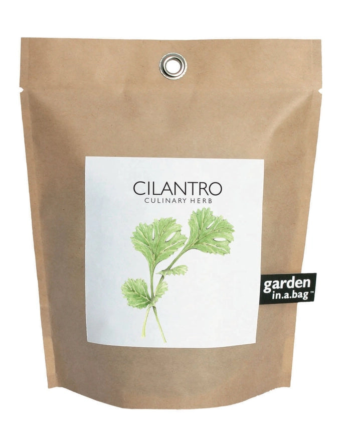 Cilantro | Garden In A Bag