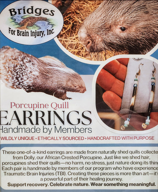 Porcupine Quill Earrings